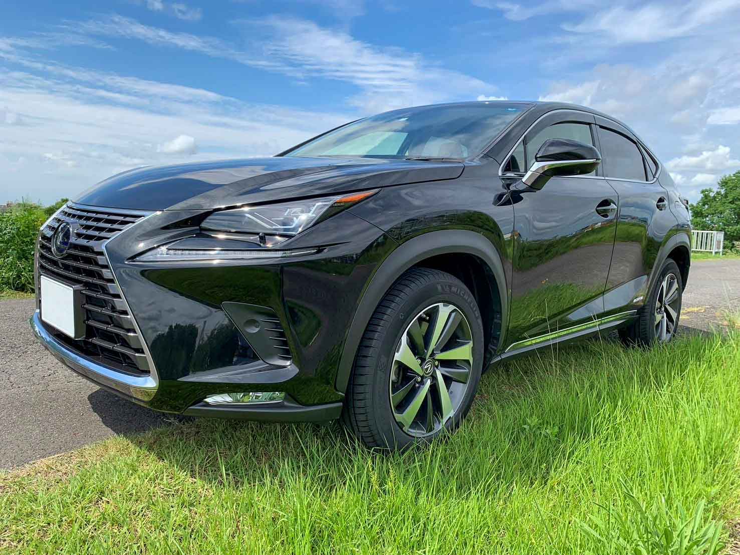 NX300h バージョンL（2018年式）
